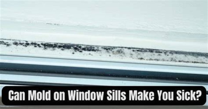 Can mold on windows make you sick?