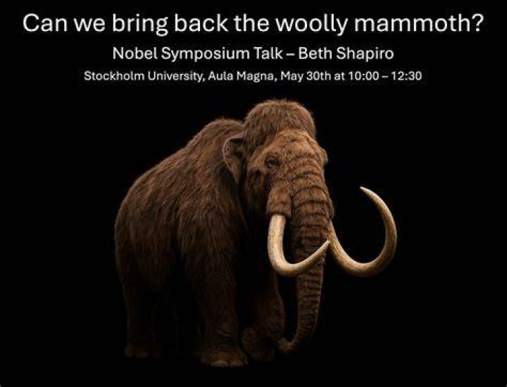 Can we bring back mammoths?