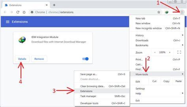 How do I remove Download Manager from Chrome?