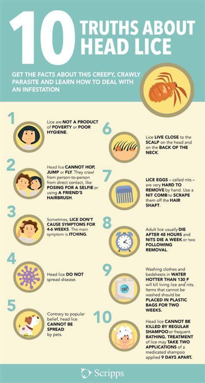 How do you get rid of lice in your hair?