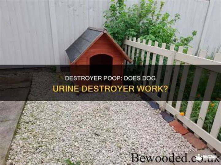 How does urine destroyer work?