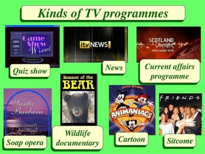 How many types of TV shows are there?