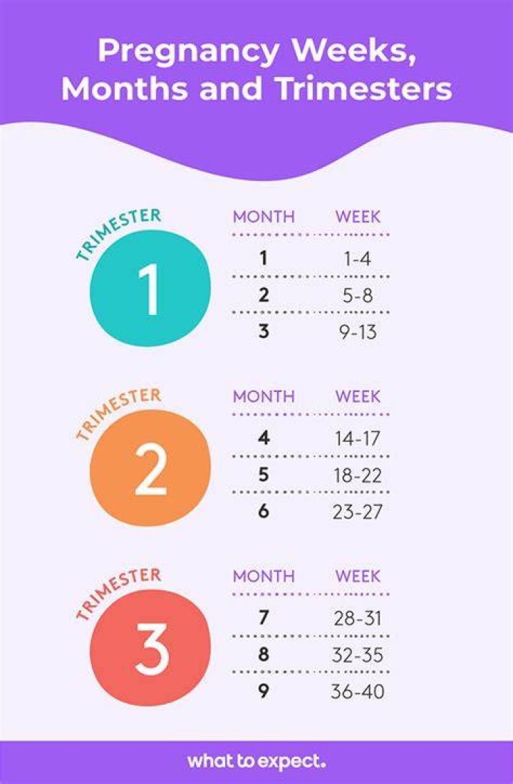 How many weeks are you when your 3 months?