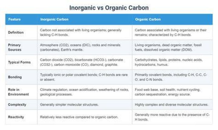 Is carbon dioxide organic? | ContextResponse.com