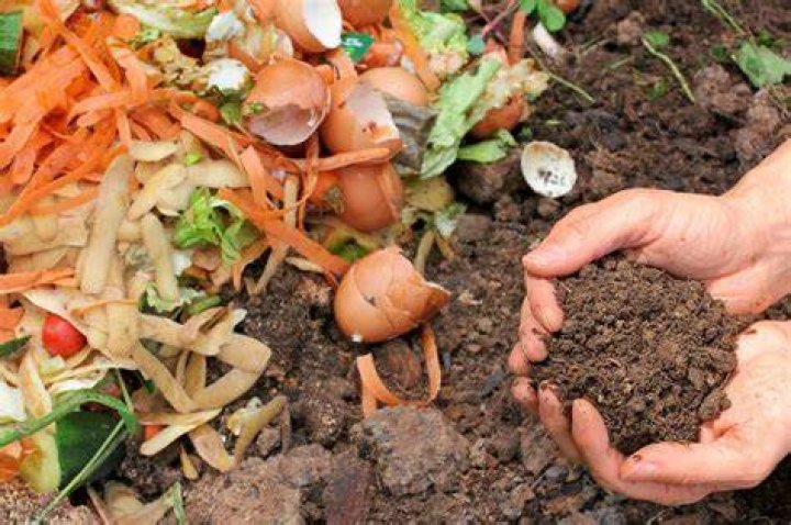Is compost an organic fertilizer?