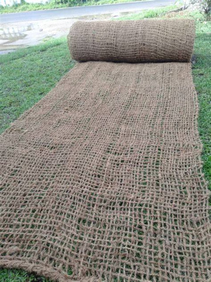 Is jute biodegradable?