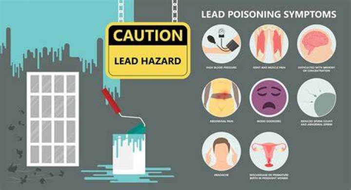 What are signs of lead poisoning in adults?