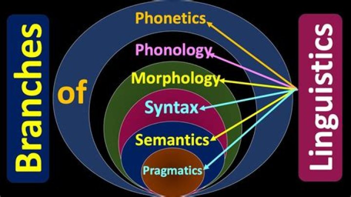 What are the various principles of linguistics?