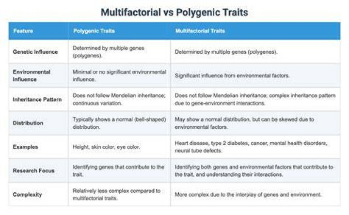 What does it mean for a trait to be both polygenic and multifactorial?