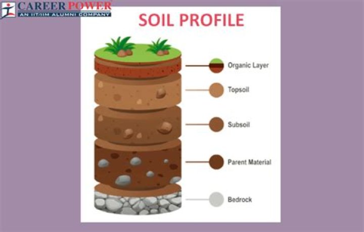 What does soil profile mean?