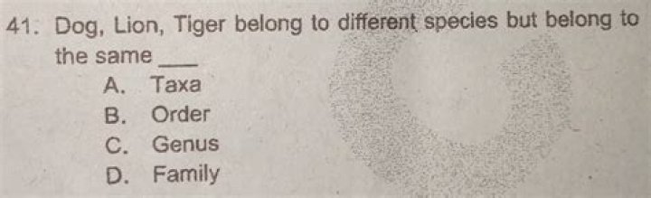 What genus does a tiger belong to?