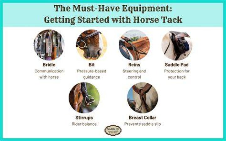 What horse tack do I need?