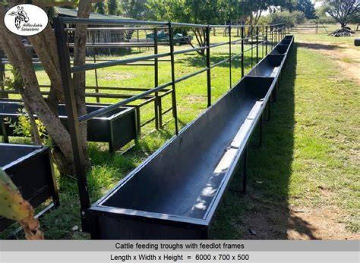 What is a cattle trough called?