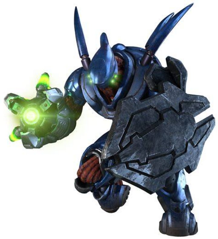 What is a hunter Halo?
