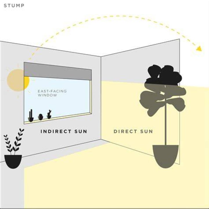 What is an east facing window?