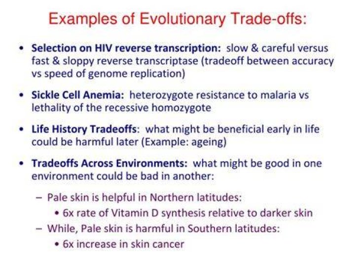 What is an evolutionary trade off?