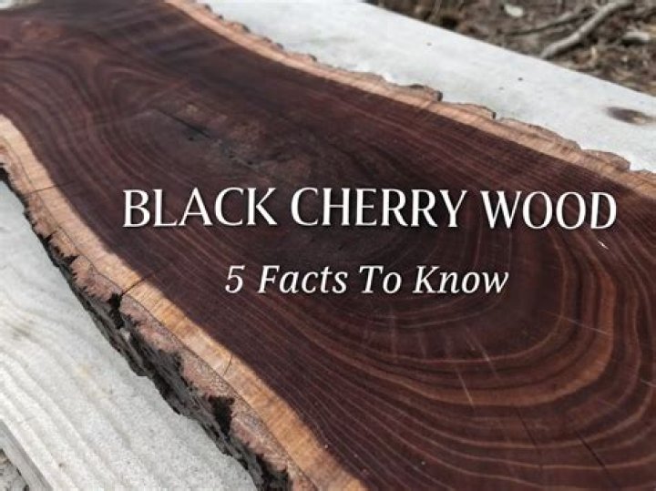 What is black cherry wood used for?