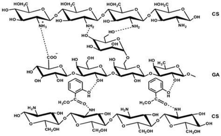What is chitosan gum? | ContextResponse.com
