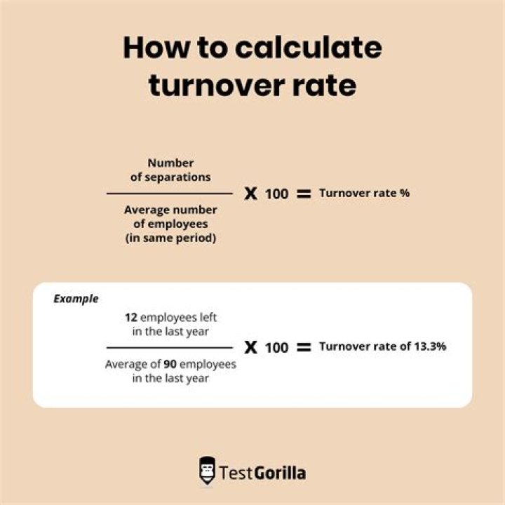 What is the turnover rate for physical therapists?