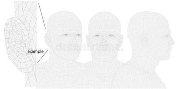 What is the volume of a human head?