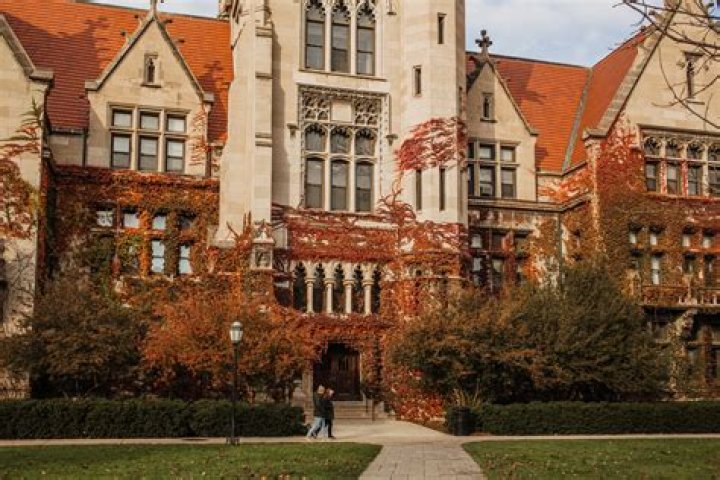 What kinds of degrees are offered at the University of Illinois Chicago?