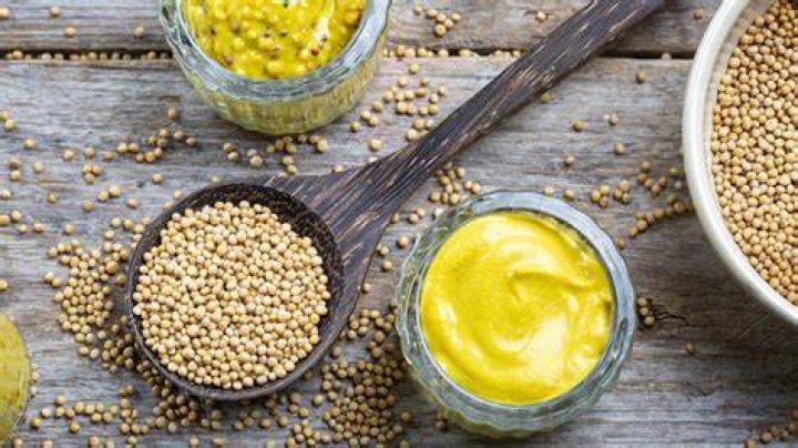 What mustard means?