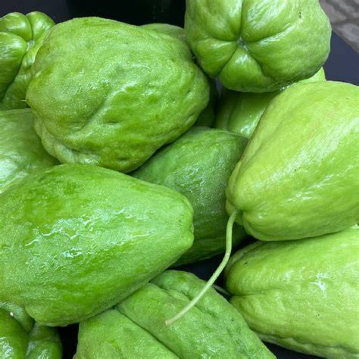 Where do Chokos grow? | ContextResponse.com