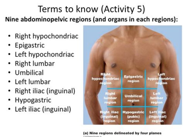 Where is the hypochondriac region?