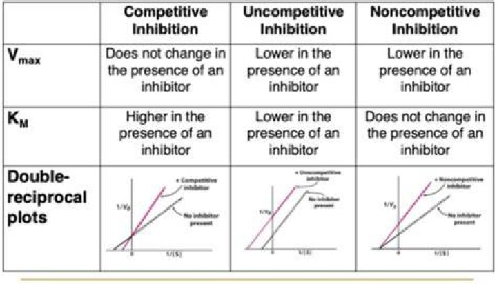 Why does non competitive inhibition lower Vmax?